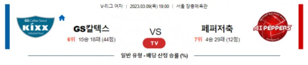 스포츠중계