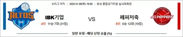 로얄스포츠 스포츠분석