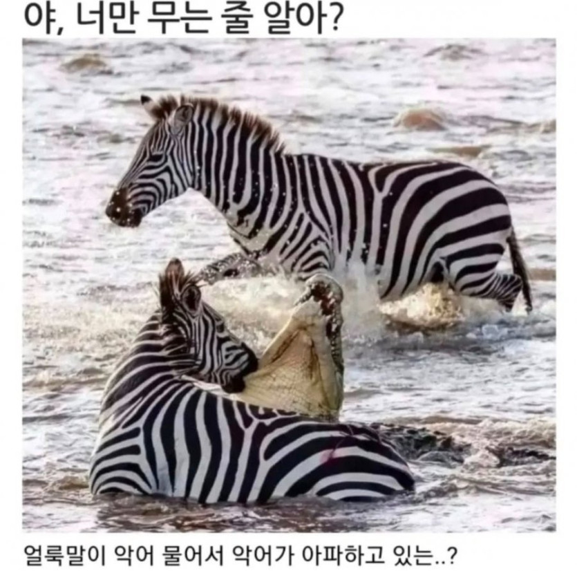 673895c19f91c142c90b74e6f90cbbf4_1738038788_325.jpeg