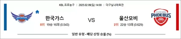 로얄스포츠 스포츠분석