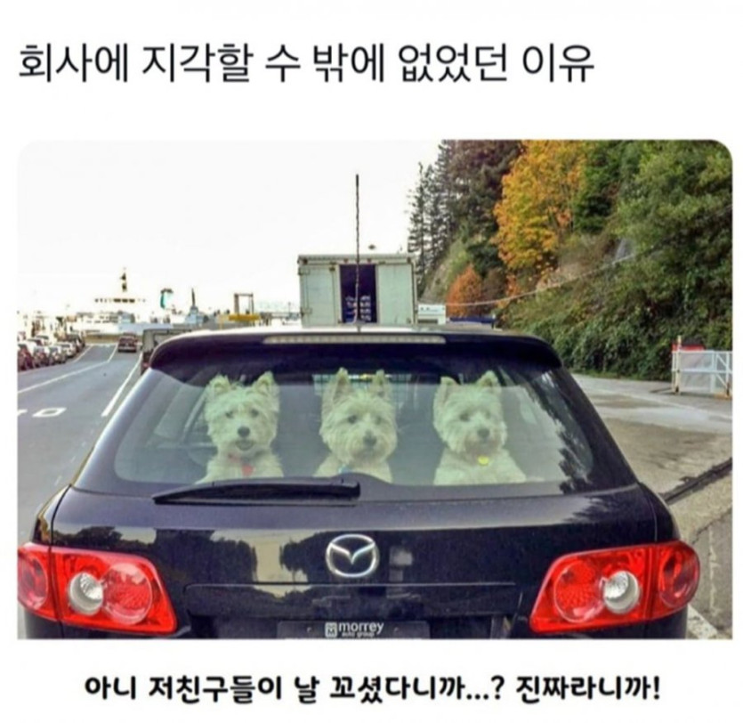 7775517cdd892f00179e7d5a98682cbd_1740464393_6716.jpg