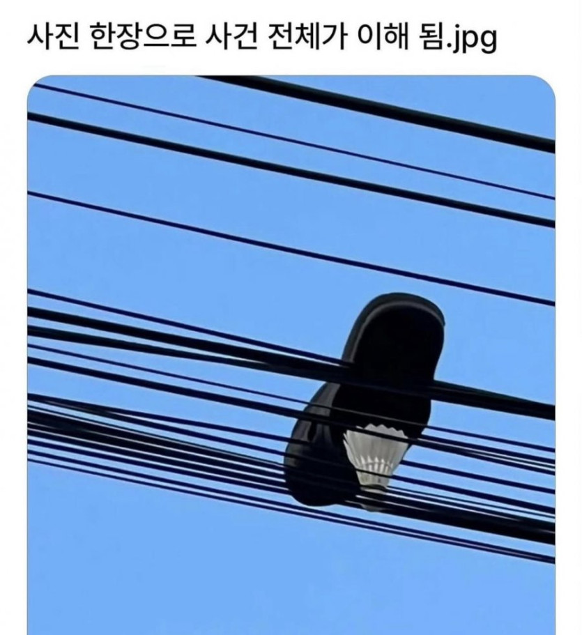 e0cc100dd9b60f133695fb8a6bc2fef3_1749260848_7428.jpg